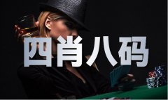 精准免费材料大全2024V